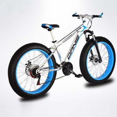 Bicicleta eléctrica, playa